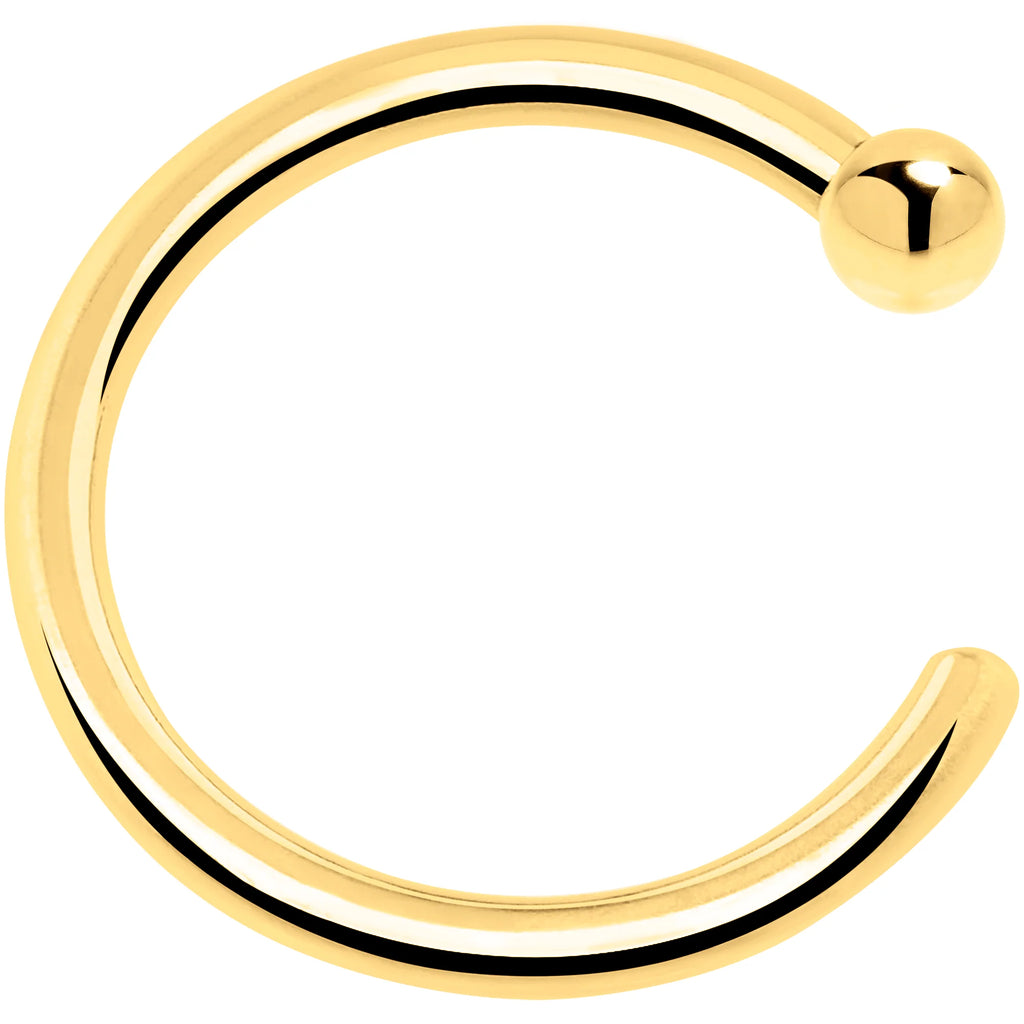 Seamless Hoop Nose Ring