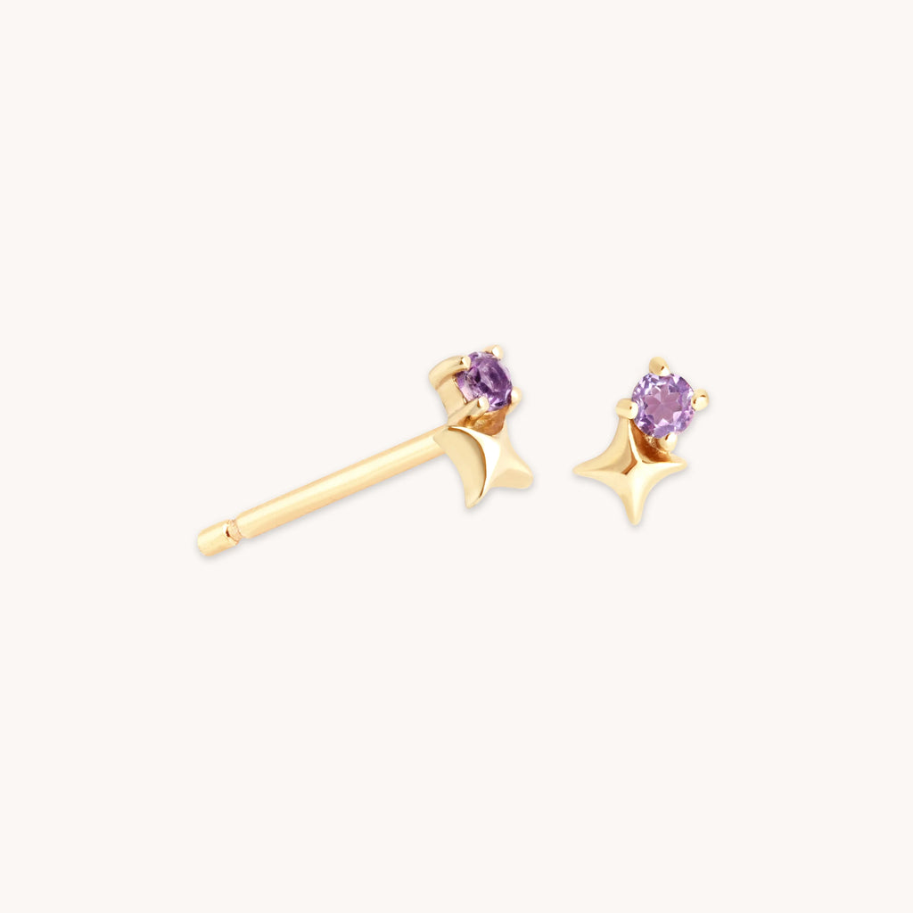 February Birthstone Stud Earrings