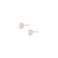 Oval Solitaire Studs