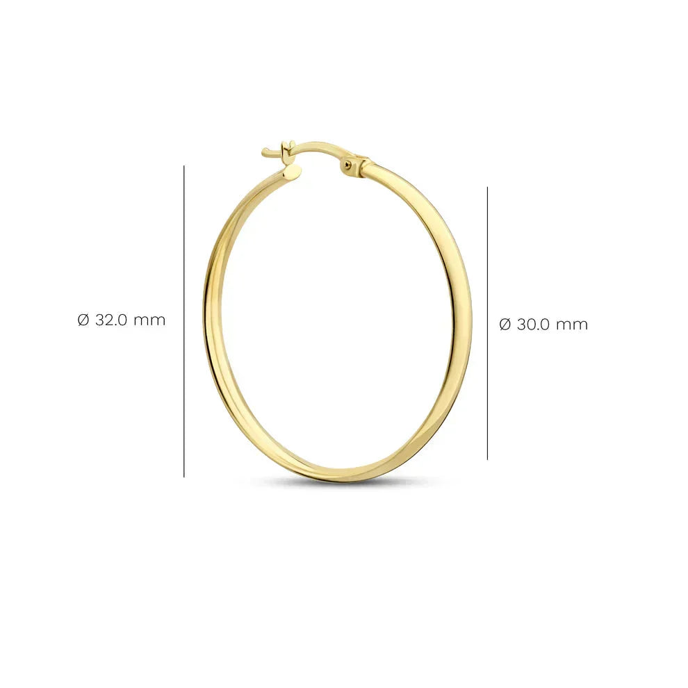 Large Hoop Earrings